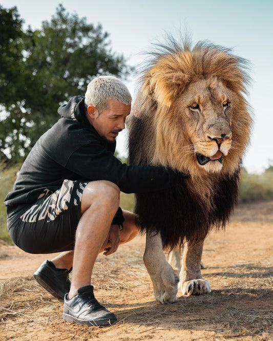 "Zebra Cargo" Shorts - Live Wild Edition