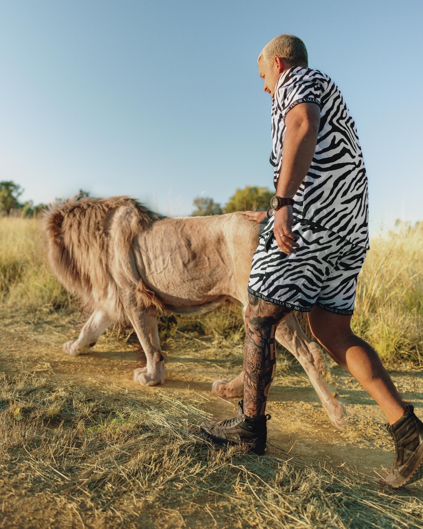"Zebra" Shorts - Live Wild Edition