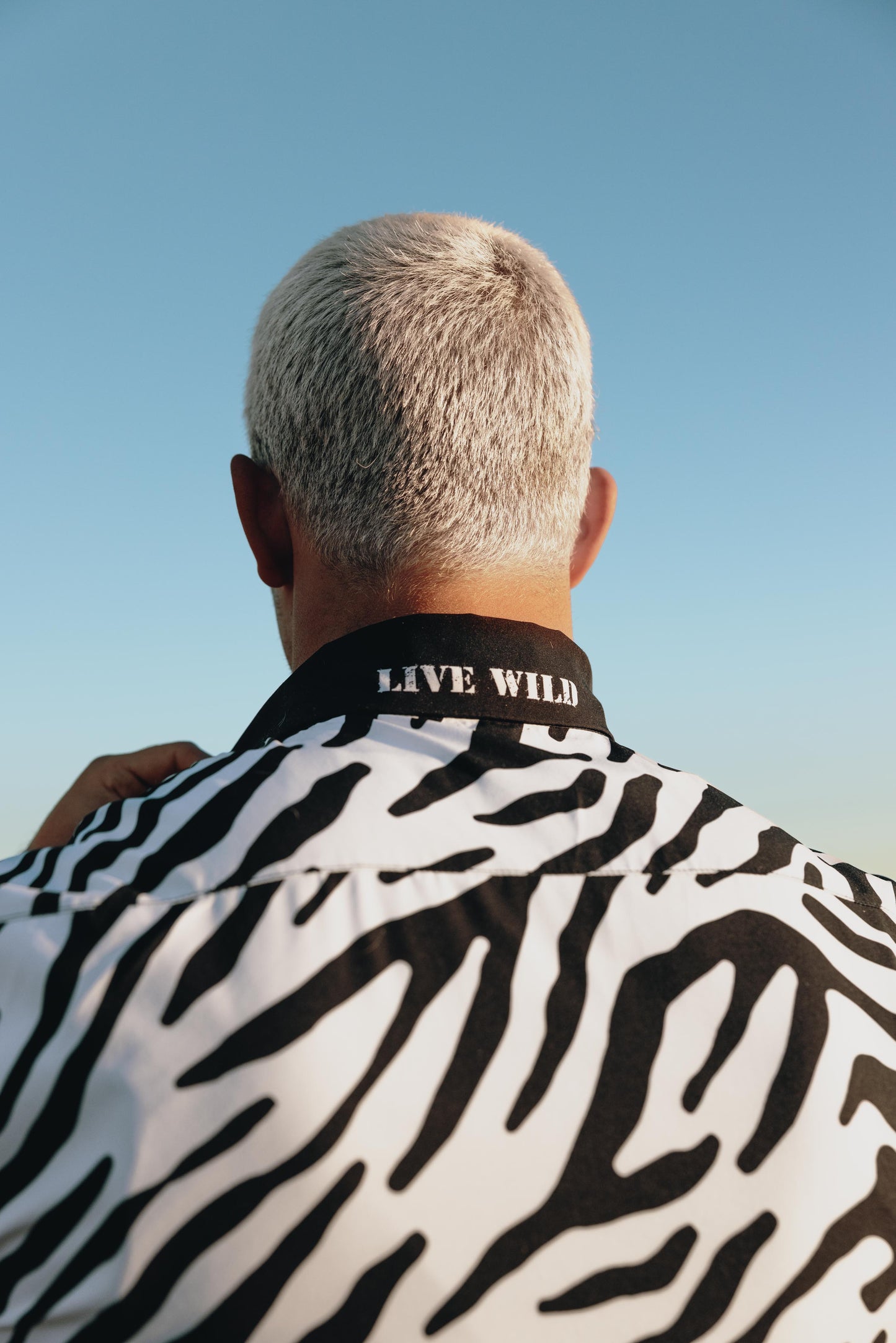 "Zebra" Full Combo - Live Wild Edition